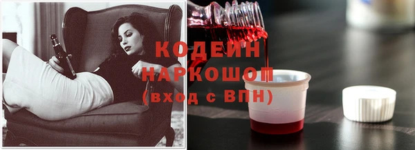 СК Козельск