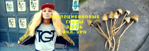 СК Козельск