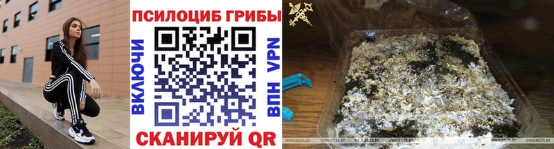 Псилоцибиновые грибы мухоморы  Купить закладки  Лесосибирск 